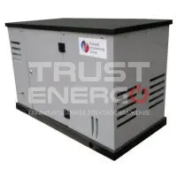 Газовый генератор REG ARCTIC GG10-230S