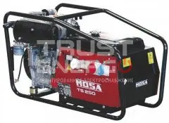 Сварочный генератор Mosa TS 250 KD/EL